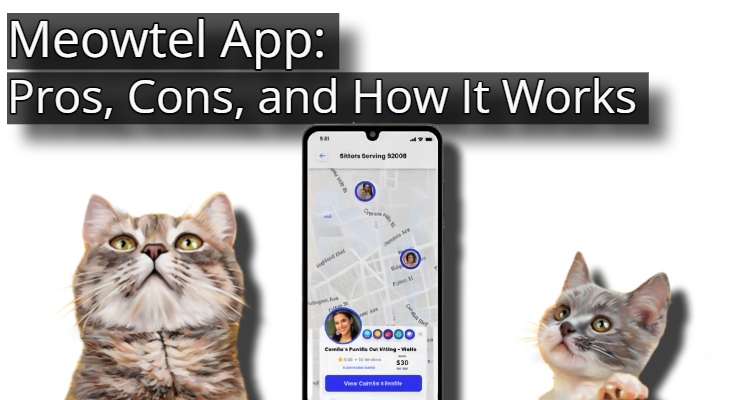 Meowtel App: Pros, Cons, and How It Works