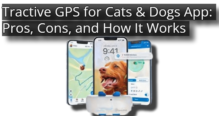 Tractive GPS for Cats & Dogs App: Pros, Cons, and How It Works